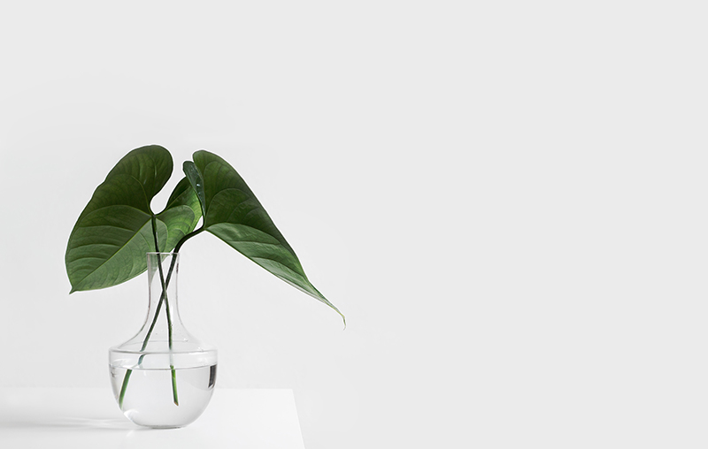 a green plant in a clear, round vase with water in it